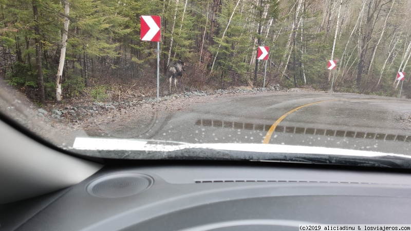 Etapa 10: Fiordo de Saguenay - Tadoussac - Dos semanas recorriendo el Este de Canadá en "primavera" (en construcc (2)