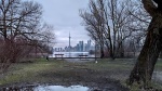 Toronto desde Toronto Island