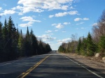 Alce en la carretera de camino a Whitney
Whitney, Algonquin Provincial Park, Ontario, Canadá