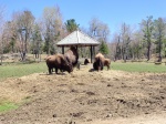 Parc Omega