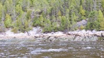 Focas en el Fiordo de Saguenay