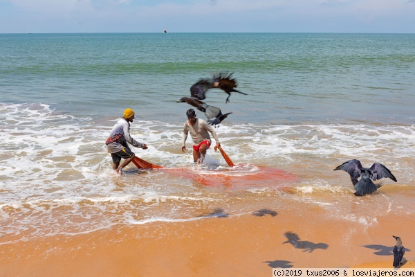 Pescadores
Pescadores en la playa de Negombo. Los cuervos andan a la caza
