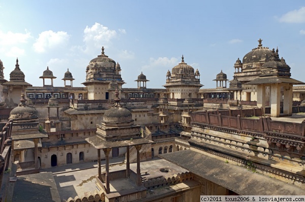 Fuerte Amber
Fuerte Amber
