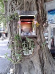 Arbol con hornacina en un arbol en Hanoi