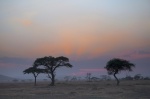 Atardecer en el Serengeti
Atardecer, contraluz, Serengeti