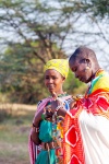 En poblado Masai
Familia, Masais, Poblado.