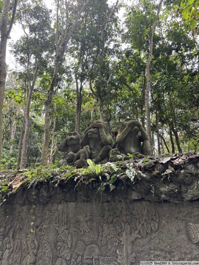 24-8-2024. Ubud por libre - Bali agosto 2024 (1)