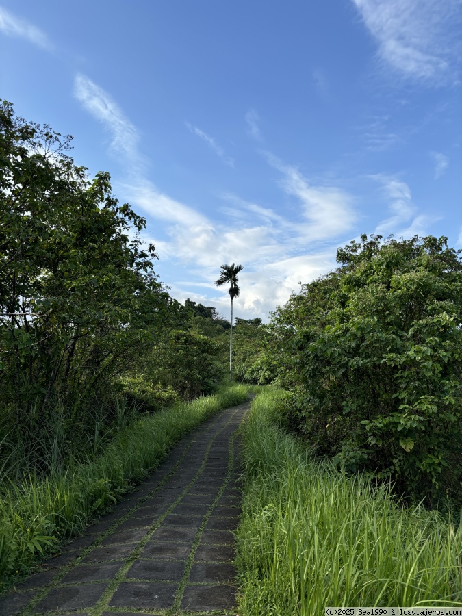24-8-2024. Ubud por libre - Bali agosto 2024 (3)