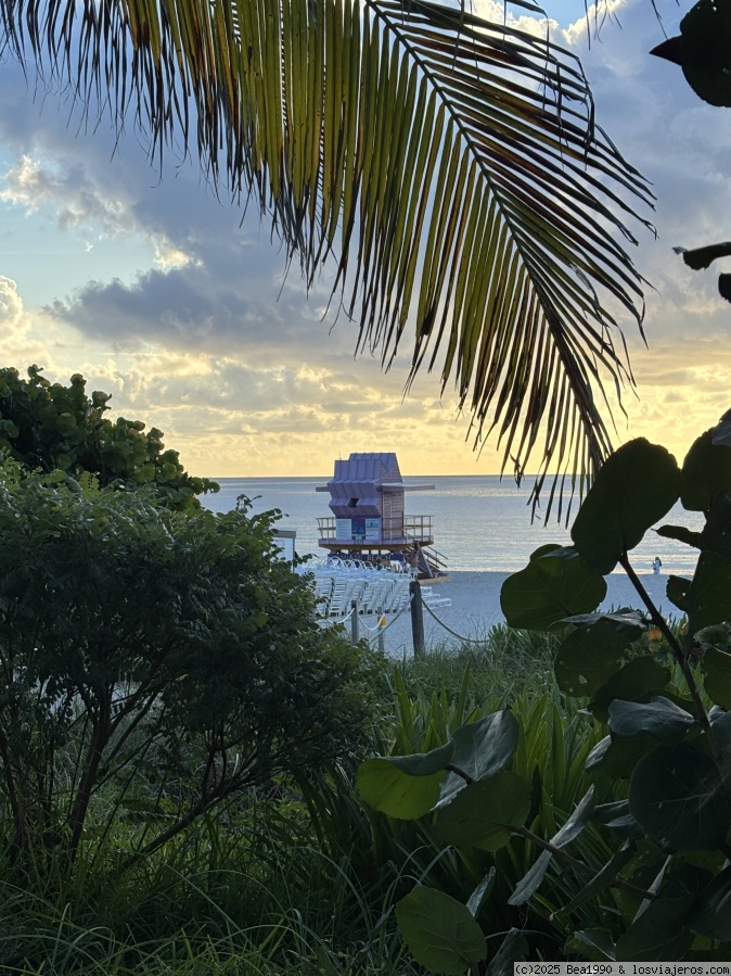 Miami, crucero Carnival por las Bahamas y Nueva York en agosto de 2025 - Blogs de USA - 18/08/2025 - Miami Beach y crucero Carnival (2)