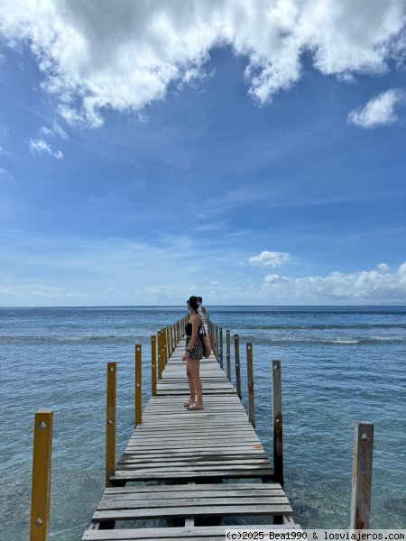 Foto muy chula
Foto muy chula
