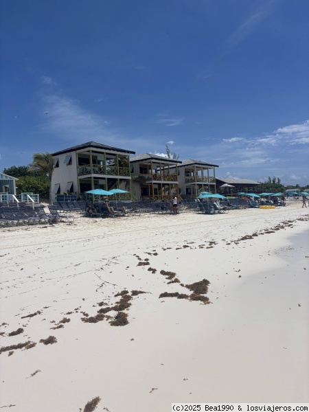 Half Moon Cay
Las hamacas son gratis, pero las casas hay que pagarlas
