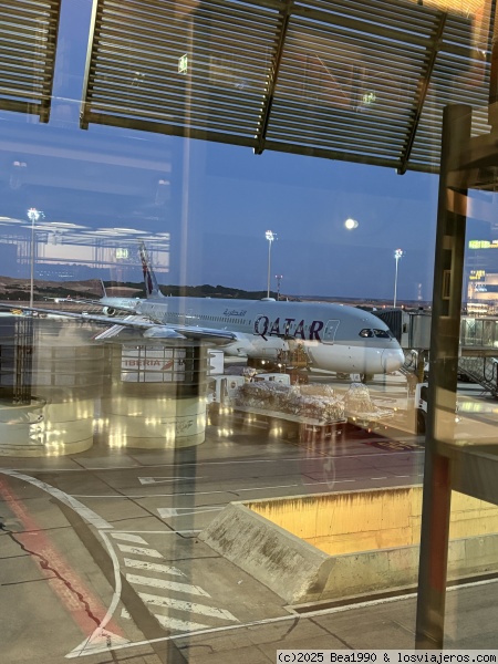 Avión
Vuelo Qatar Airways

