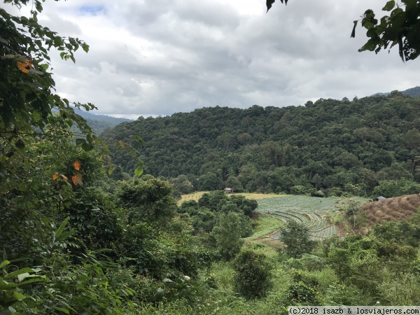 Doi Inthanon
Doi Inthanon
