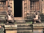 Monos Banteay Srei
Monos, Banteay, Srei, Templos, circuito, largo