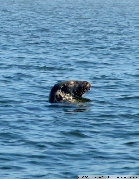 Diez días Toronto y Quebec - Blogs de Canada - Dia 6: Tadoussac - Saguenay - Lac Bouchette. (7)