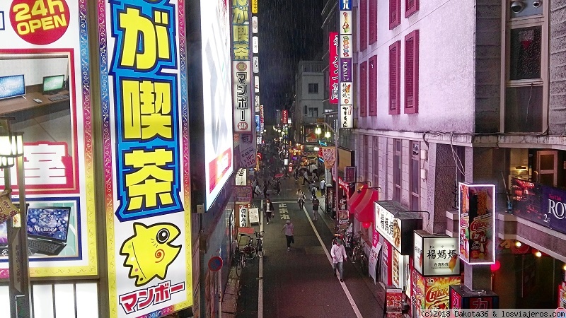 Japón - 14 días de templos y neones. - Blogs de Japon - DÍA 2: Tonkatsu en Shinjuku (3)