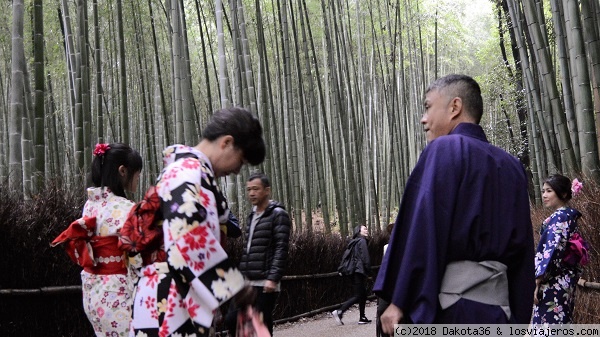 Japón - 14 días de templos y neones. - Blogs de Japon - DÍA 7: Arashiyama, macacos, geishas y bares enanos (2)