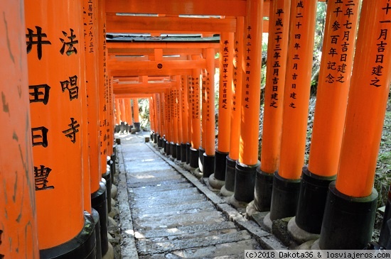 Japón - 14 días de templos y neones. - Blogs de Japon - DÍA 8: Fushimi Inari, Kiyomizu-dera y ceremonia del té (2)