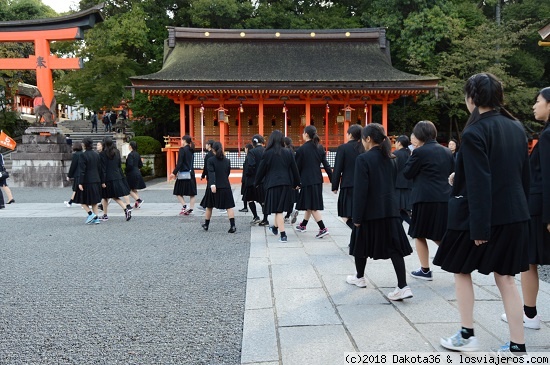 Japón - 14 días de templos y neones. - Blogs de Japon - DÍA 8: Fushimi Inari, Kiyomizu-dera y ceremonia del té (1)