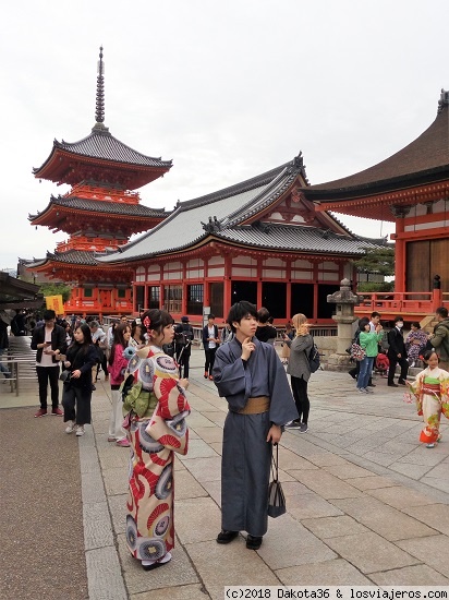Japón - 14 días de templos y neones. - Blogs de Japon - DÍA 8: Fushimi Inari, Kiyomizu-dera y ceremonia del té (3)