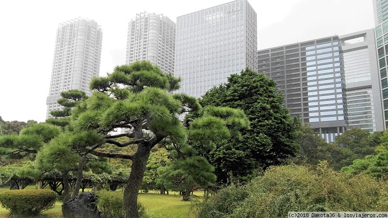 Lugares imprescindibles para visitar Tokio en otoño