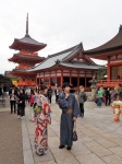 Kiyomizu-dera
Kiyomizudera, kioto, japón, religión, asia