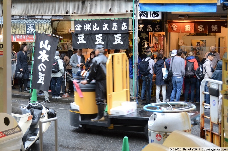 Traslado del Mercado del Pescado de Tsukiji - Tokio