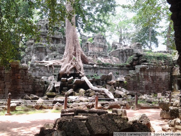 Templos de Angkor
Templos de Angkor
