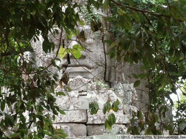 cara de piedra
Foto sacaba en Camboya  en los templos de Angkor
