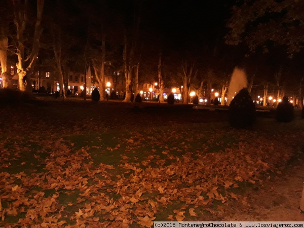 Parque de Zrinjevac
La plaza de Nikola Šubić Zrinski, popular Zrinjevac, es una de las plazas más famosas y hermosas de Zagreb.El nombre de hoy 'Zrinjevac' fue dado en 1866. El parque en esta nueva plaza se inauguró oficialmente el 14 de junio de 1873, en un lugar donde se realizó la feria de ganado.
