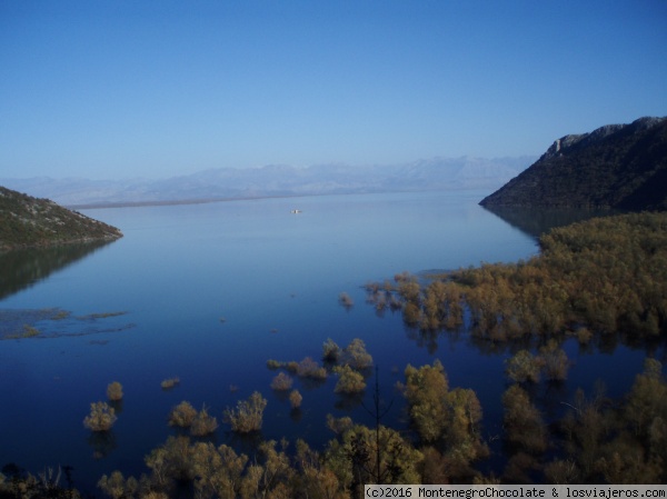 Lago Skadar / Skadarsko jezero
La profundidad del lago es de 4 a 6 metros,y más en la costa oeste
Con el río Bojanu se desemboca en el mar Adriático
