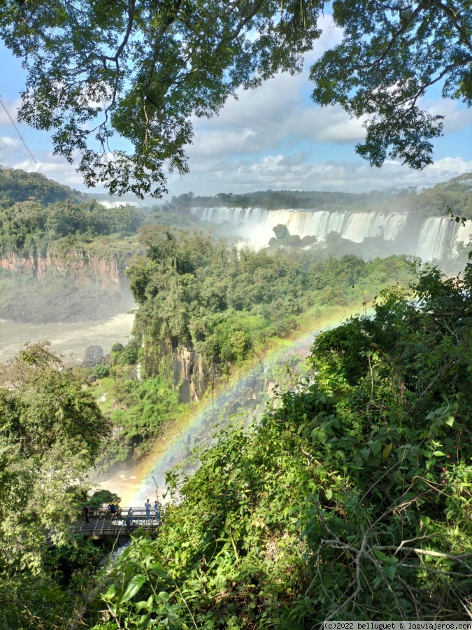 Argentina. Tres semanas en las Nubes. - Blogs de Argentina - Dia 3. Cataratas de Iguazú ( lado Argentino ). Parte 3. (2)