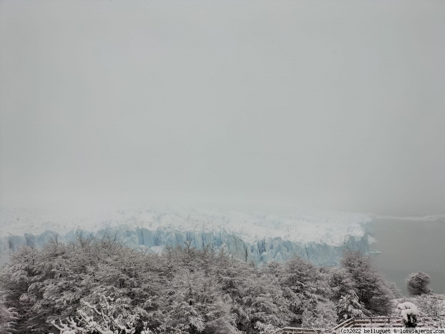 Dia 11. Glaciar Perito Moreno. Parte 1. - Argentina. Tres semanas en las Nubes. (4)