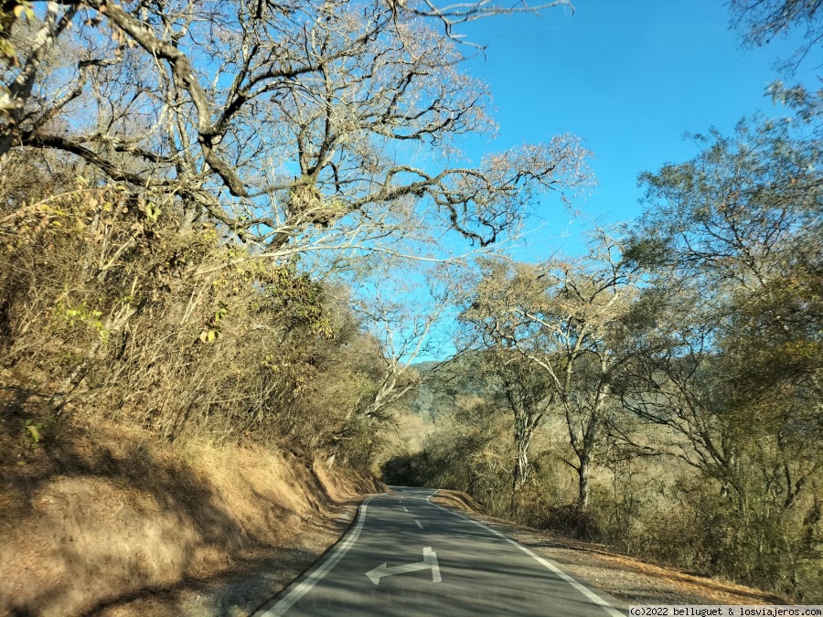 Argentina. Tres semanas en las Nubes. - Blogs de Argentina - Dia 5.Salta-Jujuy- Cerro de los 14 colores en Hornocal-Tílcara.Part 1. (1)