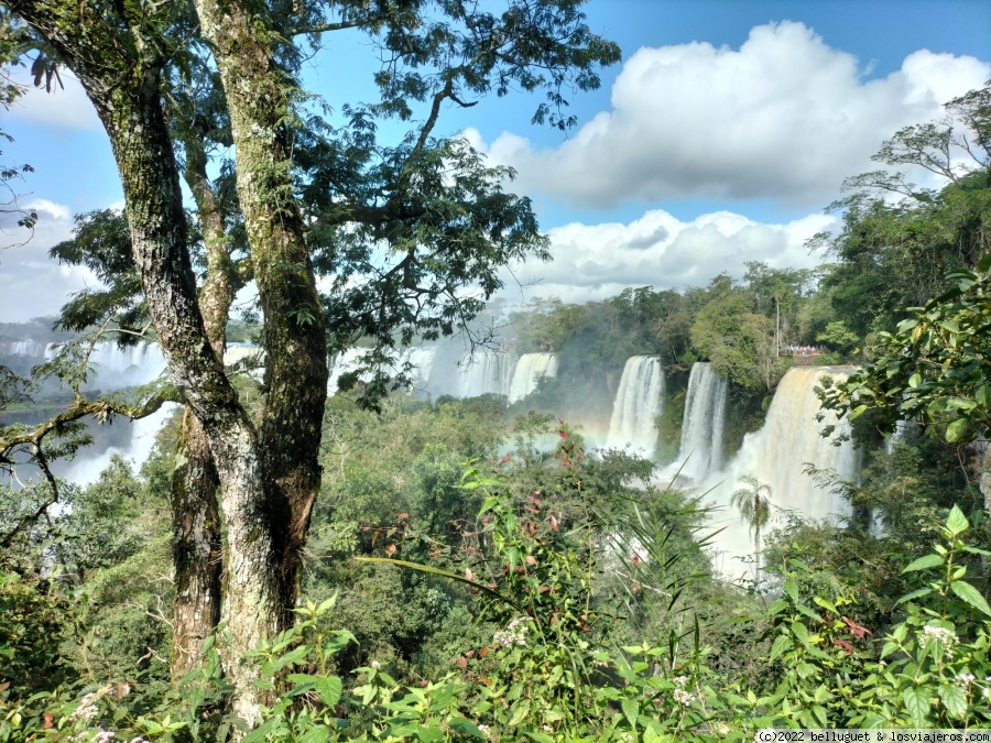 Argentina. Tres semanas en las Nubes. - Blogs de Argentina - Dia 3. Cataratas de Iguazú ( lado Argentino ). Parte 3. (1)