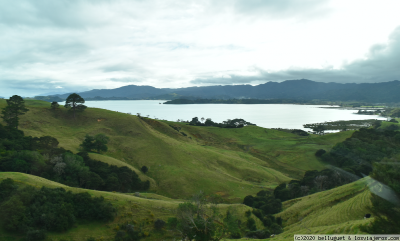 Dia 4. Parte 1.  Peninsula de Coromandel -   Waihi  340 km - NUEVA ZELANDA, DOS ISLAS Y UNA AUTOCARAVANA. (4)