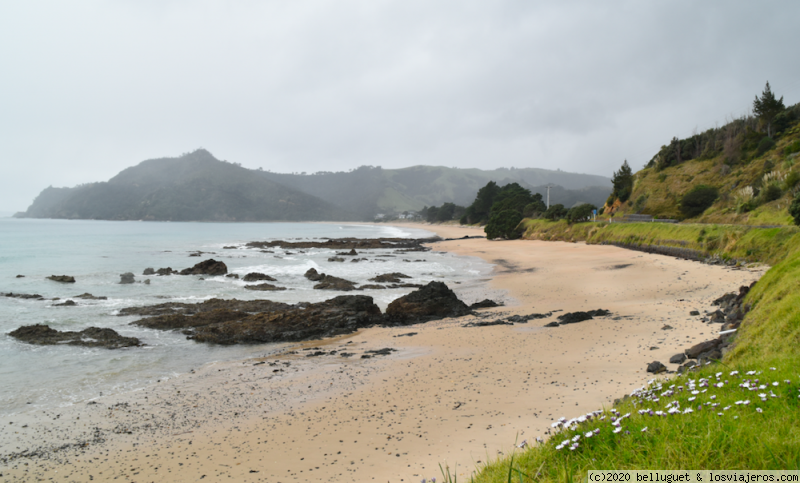 Dia 4. Parte 1.  Peninsula de Coromandel -   Waihi  340 km - NUEVA ZELANDA, DOS ISLAS Y UNA AUTOCARAVANA. (3)