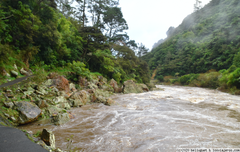 Dia 5. Parte 1. Waihi - Hobbiton - Rotorua. 150 km. - NUEVA ZELANDA, DOS ISLAS Y UNA AUTOCARAVANA. (1)