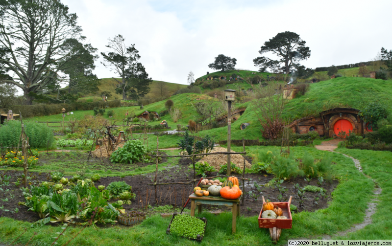 NUEVA ZELANDA, DOS ISLAS Y UNA AUTOCARAVANA. - Blogs de Nueva Zelanda - Dia 5. Parte 1. Waihi - Hobbiton - Rotorua. 150 km. (6)