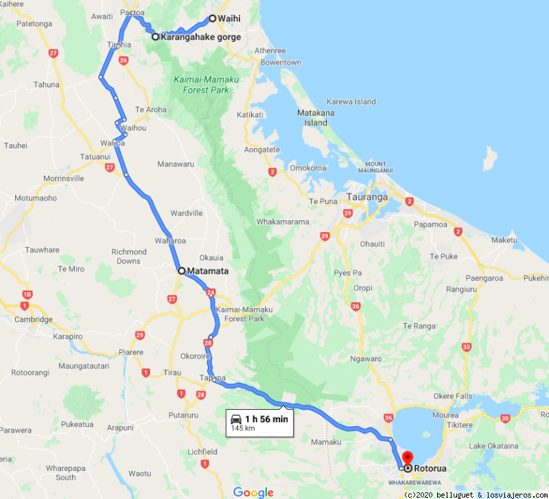 NUEVA ZELANDA, DOS ISLAS Y UNA AUTOCARAVANA. - Blogs de Nueva Zelanda - Dia 5. Parte 2. Waihi - Hobbiton - Rotorua. 150 km (5)