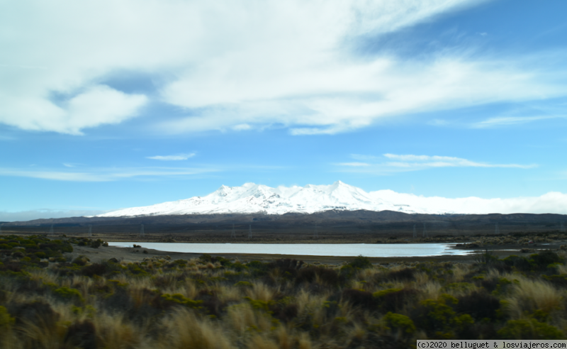 Dia 7. PN Tongariro - Palmerston North.394 km - NUEVA ZELANDA, DOS ISLAS Y UNA AUTOCARAVANA. (4)