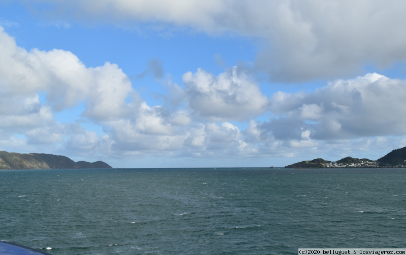 Dia 9. Wellington - Pincton en la Isla Sur - NUEVA ZELANDA, DOS ISLAS Y UNA AUTOCARAVANA. (4)