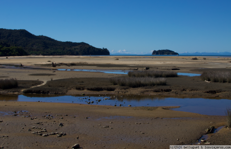 Dia 10. Parte 1. Pincton - P.N Abel Tasman - Motueka. 450 km - NUEVA ZELANDA, DOS ISLAS Y UNA AUTOCARAVANA. (4)