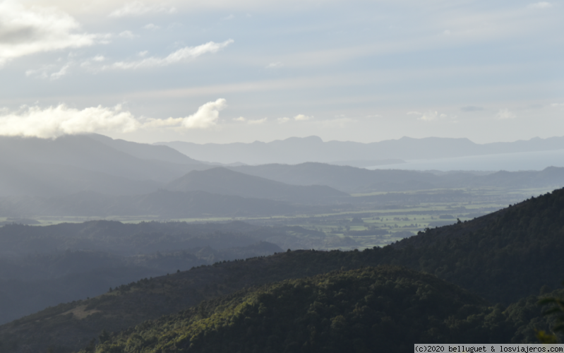 Dia 10. Parte 2. Pincton - Abel Tasman NP- Motueka. 450 km - NUEVA ZELANDA, DOS ISLAS Y UNA AUTOCARAVANA. (4)