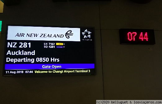 NUEVA ZELANDA, DOS ISLAS Y UNA AUTOCARAVANA. - Blogs de Nueva Zelanda - Después de 24 horas de viaje... (1)