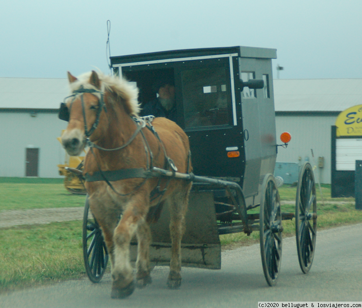 EE.UU. Ruta 61 desde Chicago a New Orleans - Blogs de USA - ETAPA 4. CHICAGO- INDIANAPOLIS (5)