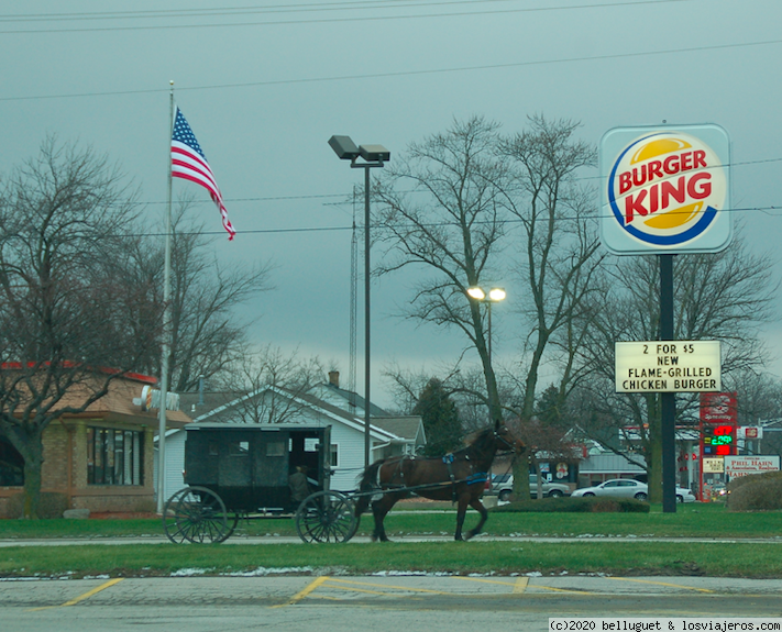 EE.UU. Ruta 61 desde Chicago a New Orleans - Blogs de USA - ETAPA 4. CHICAGO- INDIANAPOLIS (4)