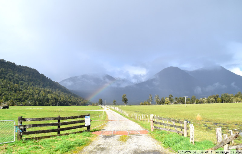 Dia 12. Parte 2. Greymouth-Glaciar Franz Joseph y Fox - PN Aspiring  406 km - NUEVA ZELANDA, DOS ISLAS Y UNA AUTOCARAVANA. (4)