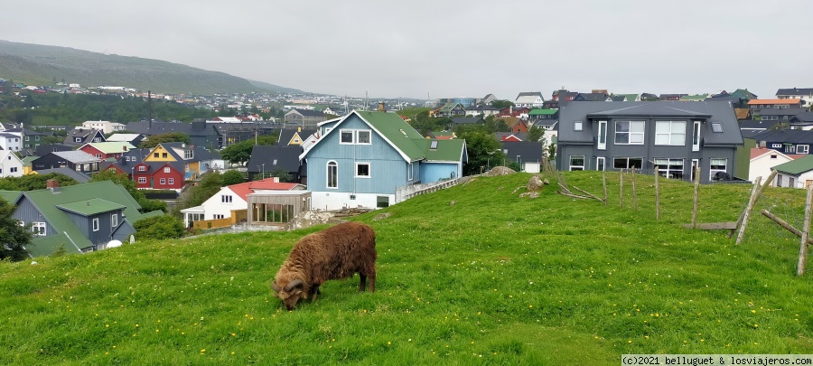 Viajar a  España: Compañias De Aviones España - Mirador del Rey (Compañias De Aviones España)