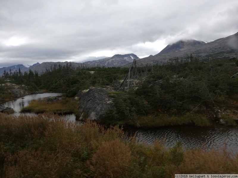 CRUCERO POR ALASKA - Blogs de Cruceros - EXCURSIÓN EN SKAGWAY (2)